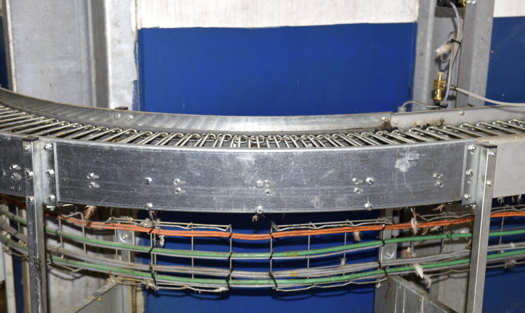 Vue d'une ligne de convoyage à rouleaux avec structure métallique dans un bâtiment avicole.