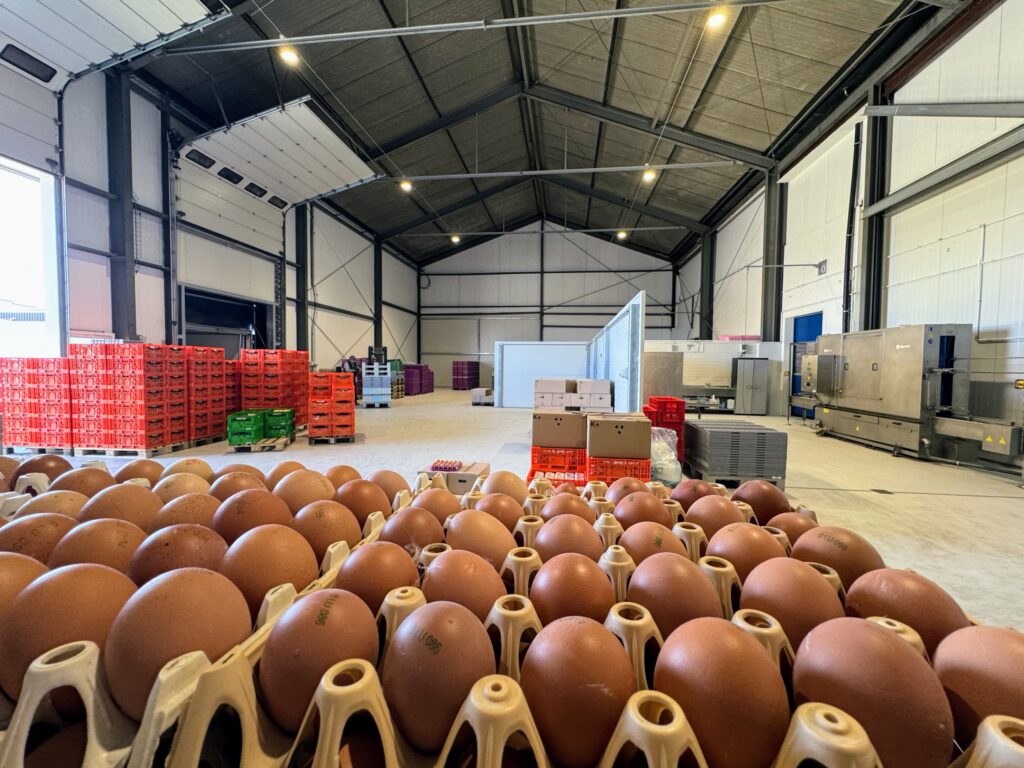 Centre de tri d'œufs au Luxembourg avec installations industrielles, machines de conditionnement et caisses de manutention.