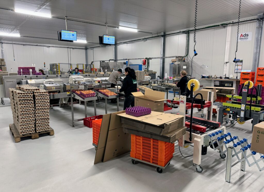 Installation de tri et de conditionnement d'œufs avec équipements industriels et postes de travail.