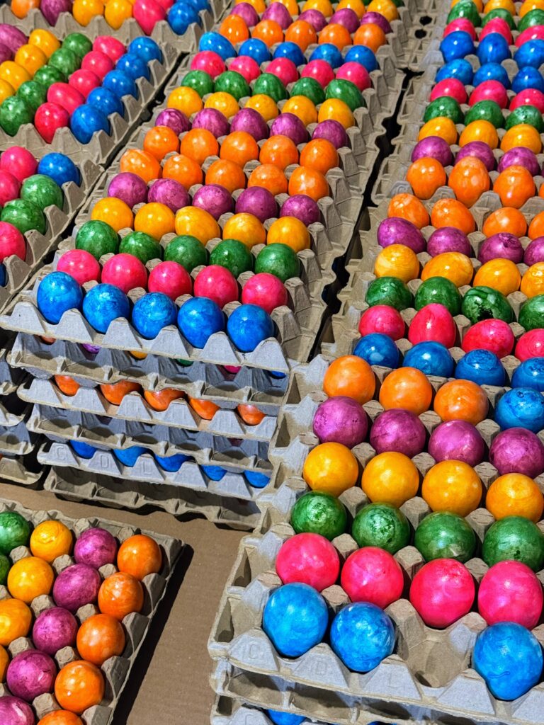 Plateaux d'œufs colorés empilés dans une zone de conditionnement.
